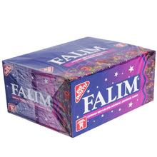 Dandy Falim Forest Fruit (Orman Meyveli) Gum 100pcs